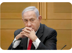 Bibi_3.png